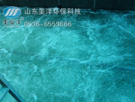 點擊查看詳細信息<br>標題：曝氣 閱讀次數：2299